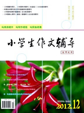 小学生作文辅导·教师适用期刊